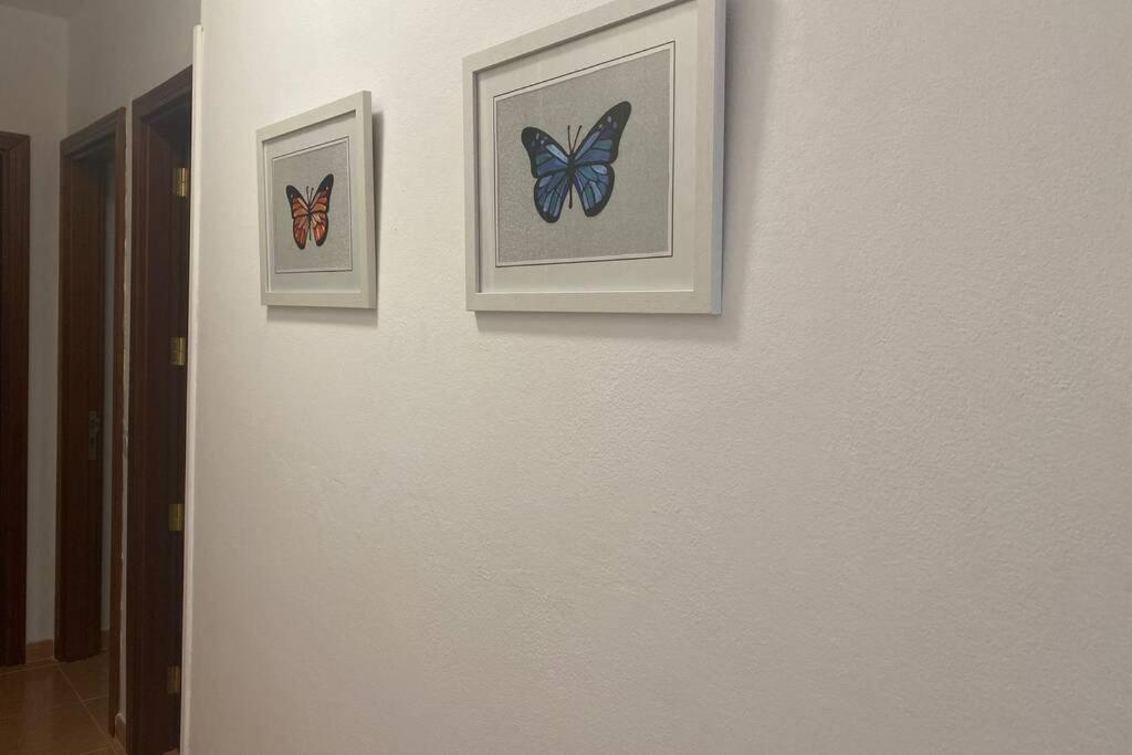 Apartament Cristina 3d *